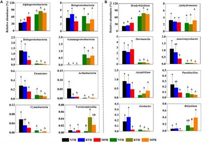 Ridge Tillage Improves Soil Properties, Sustains Diazotrophic Communities, and Enhances Extensively Cooperative Interactions Among Diazotrophs in a Clay Loam Soil